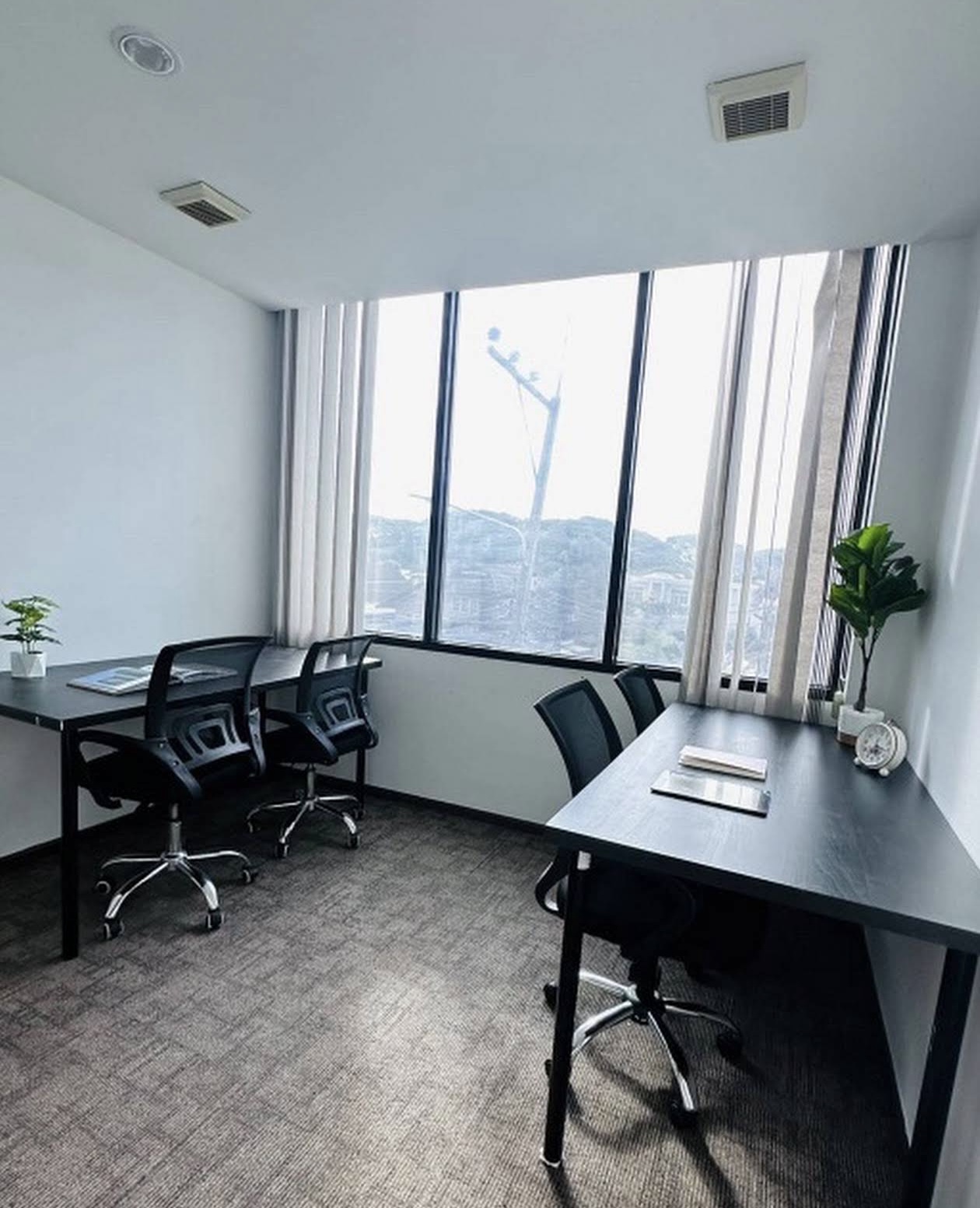 Premium Team Suite